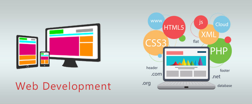 Web Development