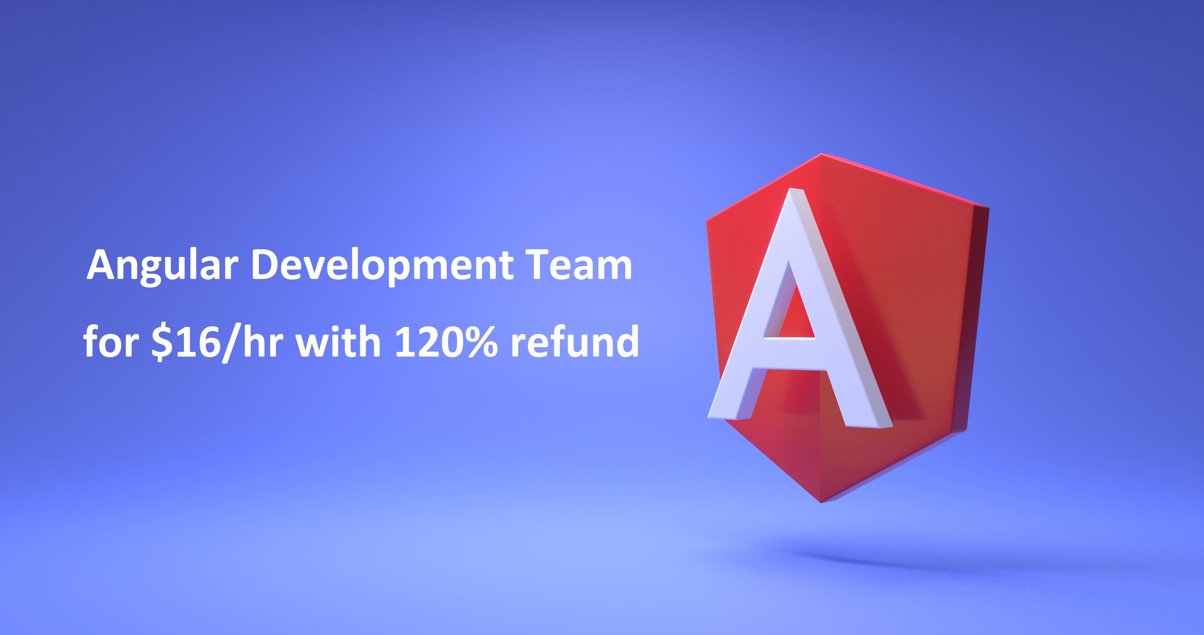 Angular Development Team